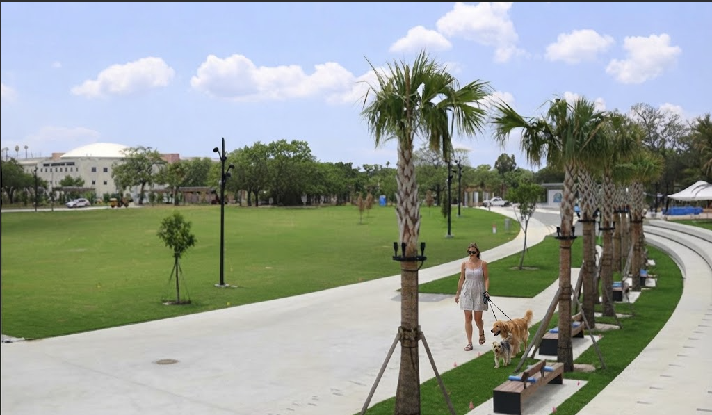 A person walking two dogs beside a palm-lined path and broad grassy lawn at a riverfront park.